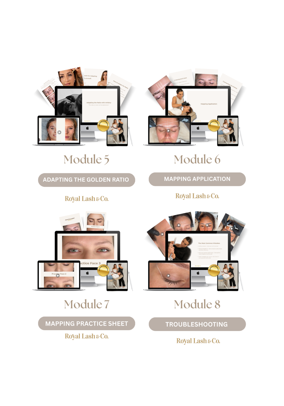 Brow Mapping Mastery