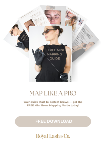 FREE- MINI MAPPING GUIDE