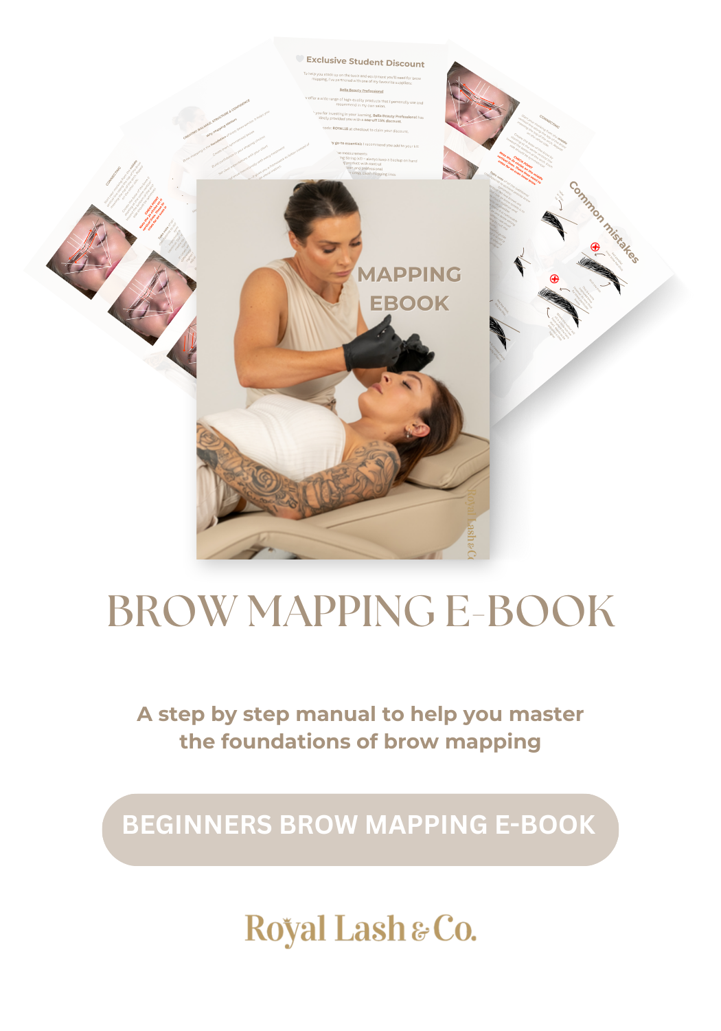 Mapping Ebook